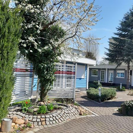 Hotel Dresden Domizil Εξωτερικό φωτογραφία
