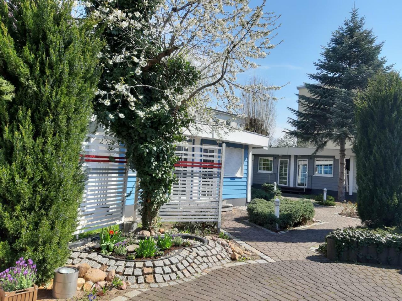 Hotel Dresden Domizil Εξωτερικό φωτογραφία